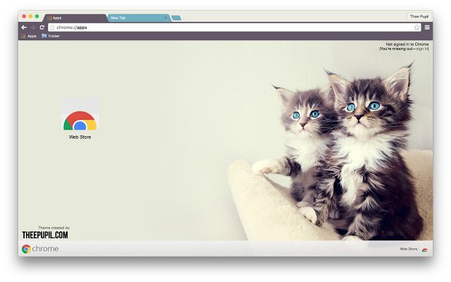 kittens - google chrome themes