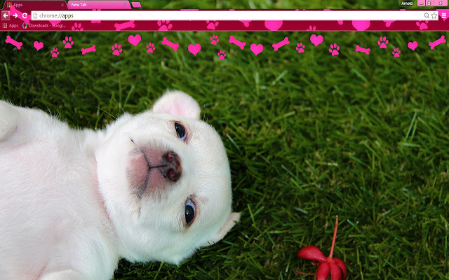 puppy love - google chrome themes